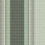 320976_A4